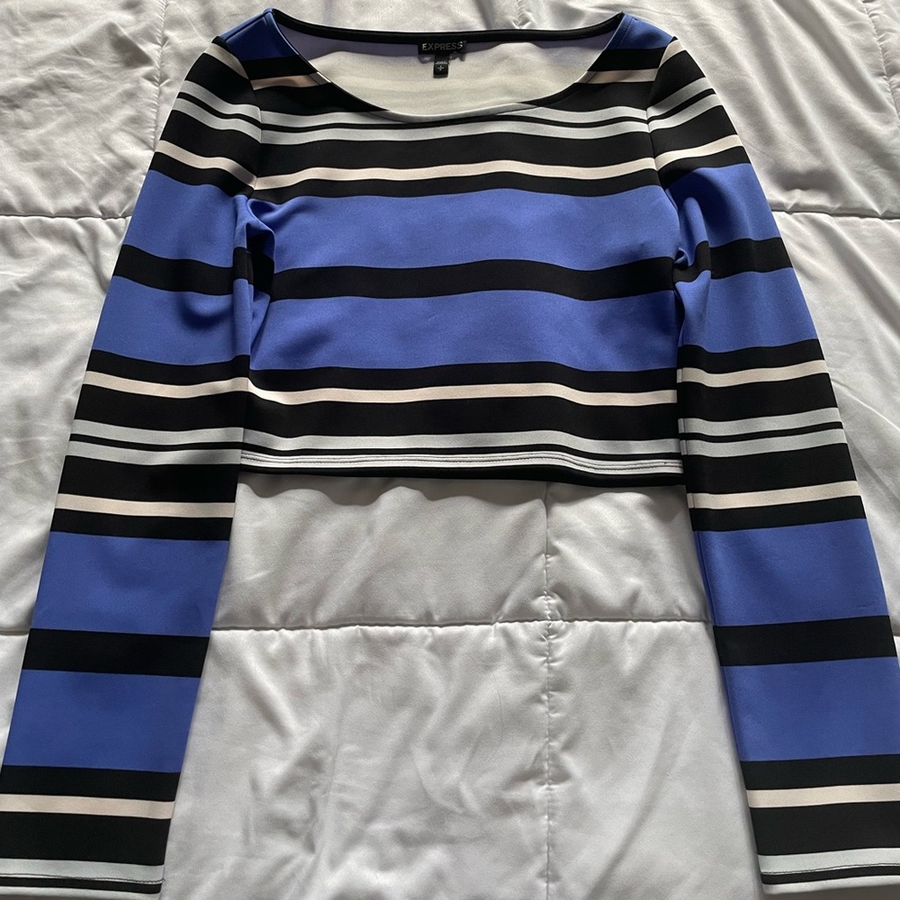 EXPRESS colorblock crop top